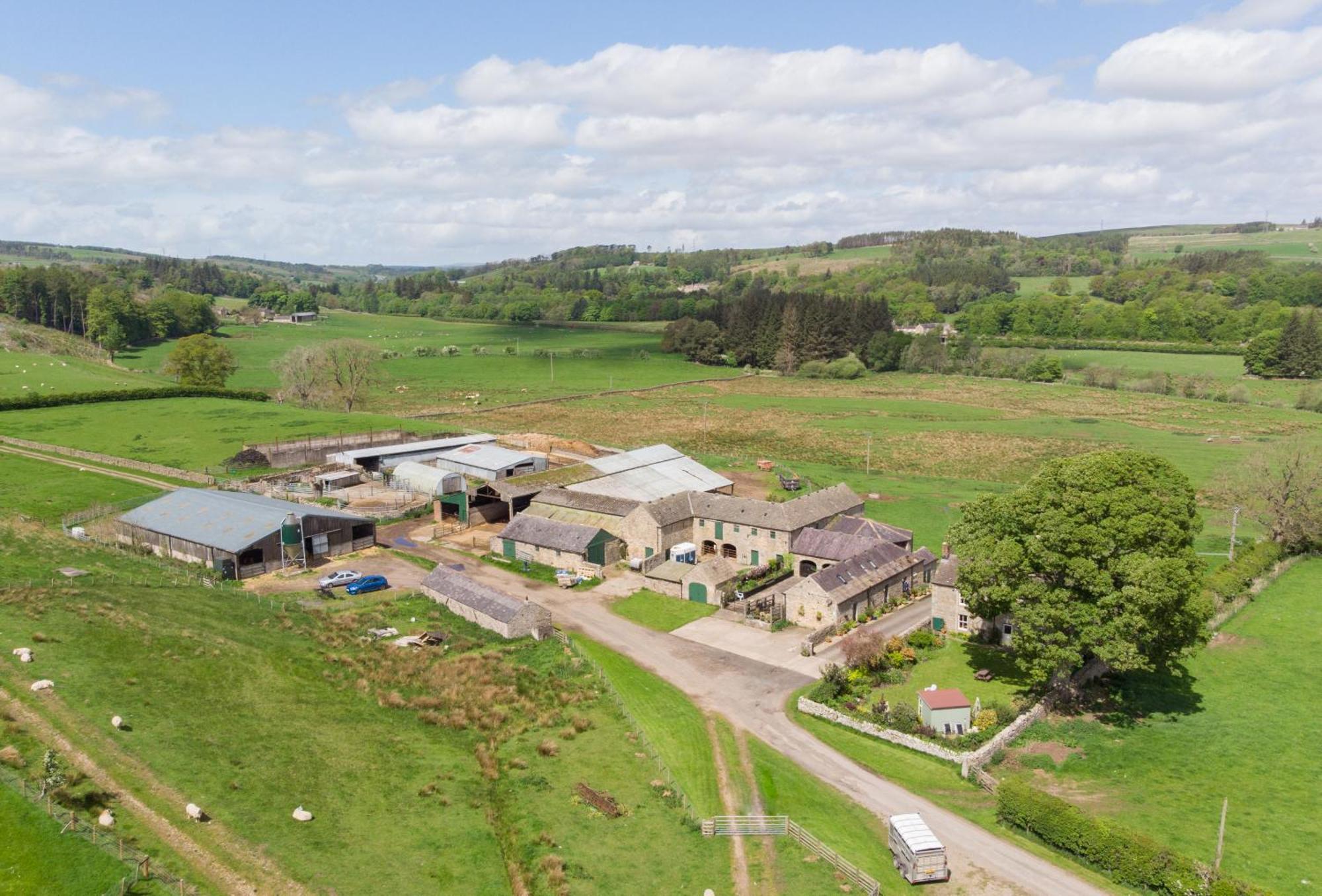 Wydon Farm Bed And Breakfast Haltwhistle Exterior foto