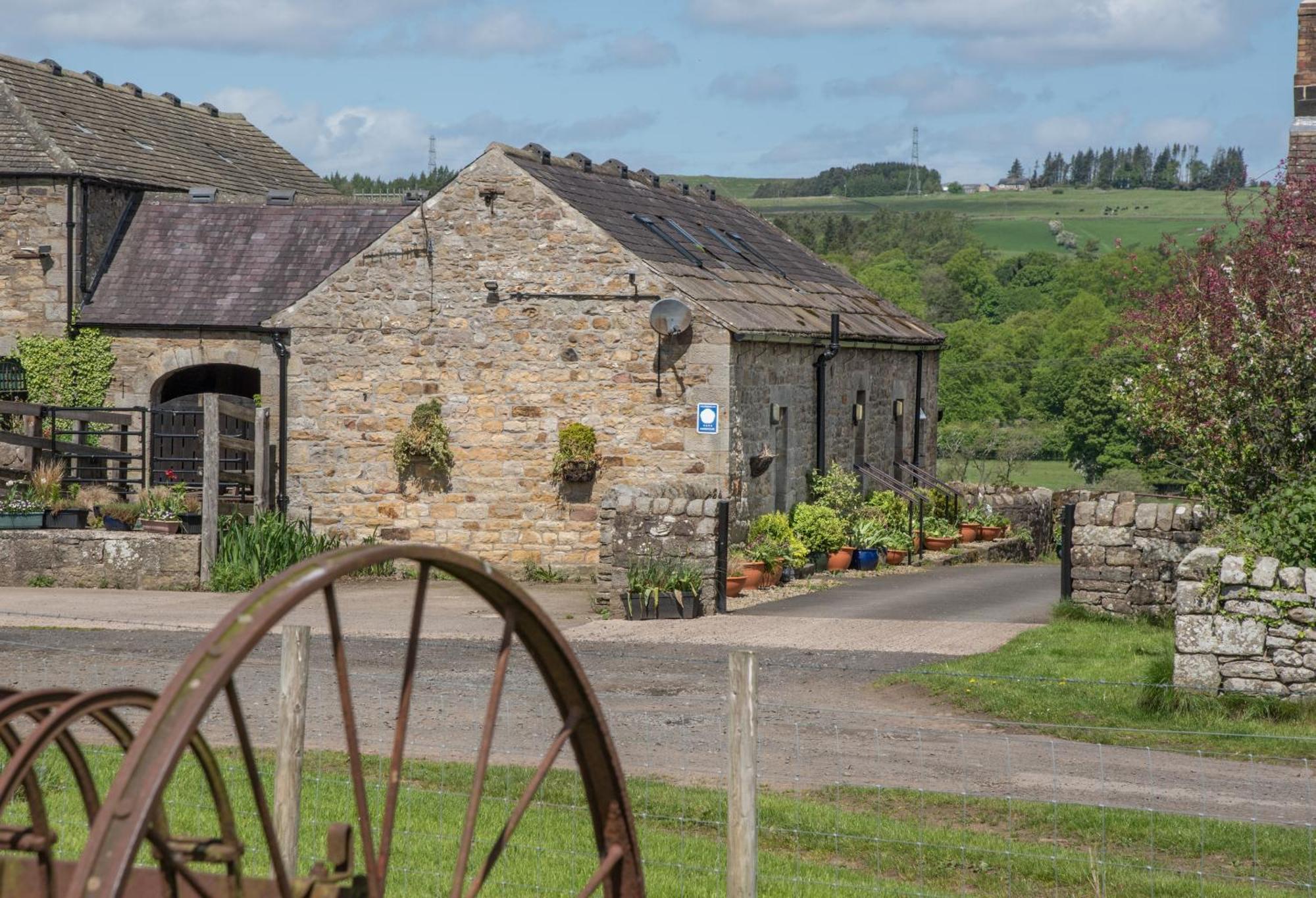 Wydon Farm Bed And Breakfast Haltwhistle Exterior foto