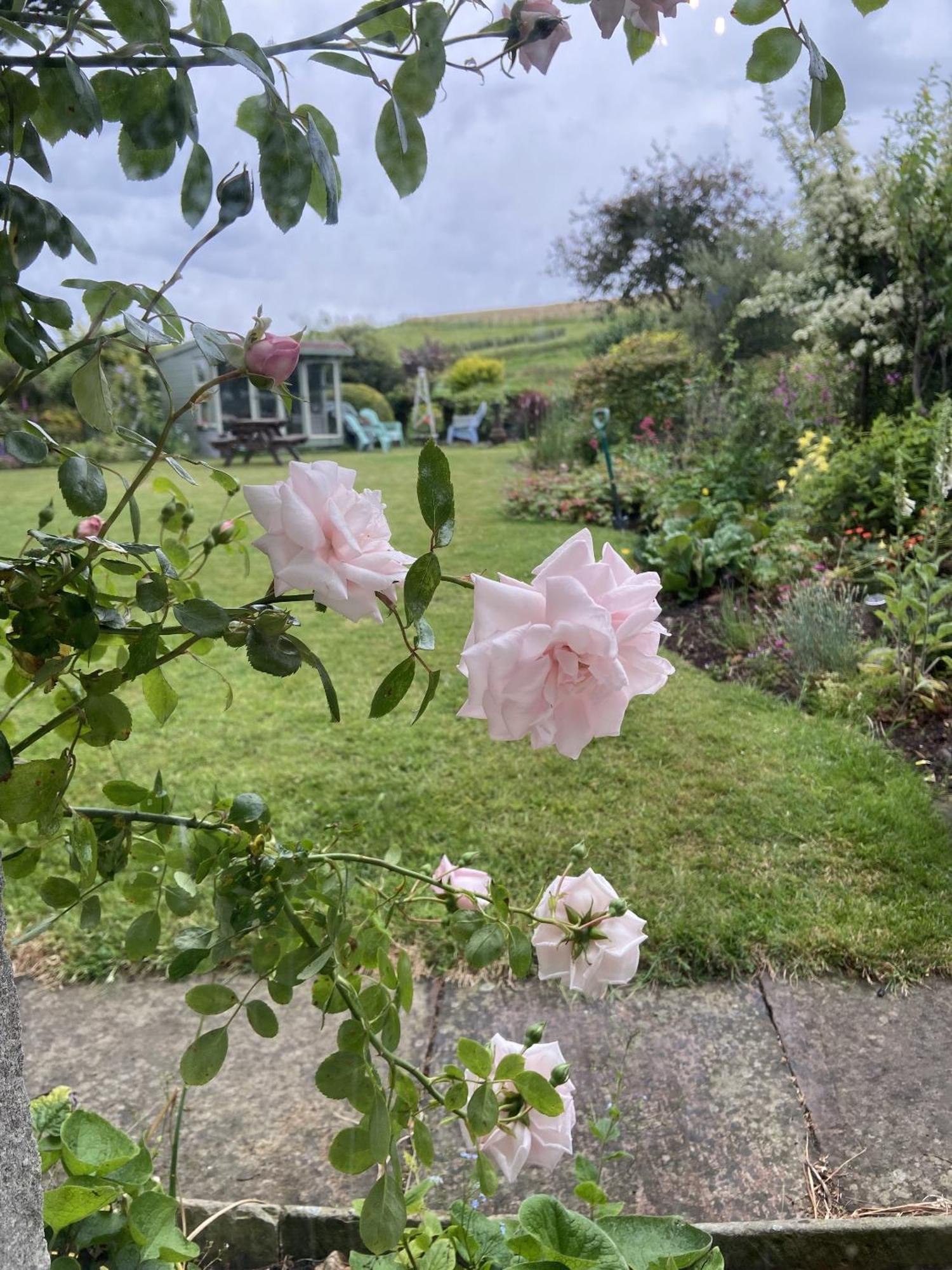Wydon Farm Bed And Breakfast Haltwhistle Exterior foto