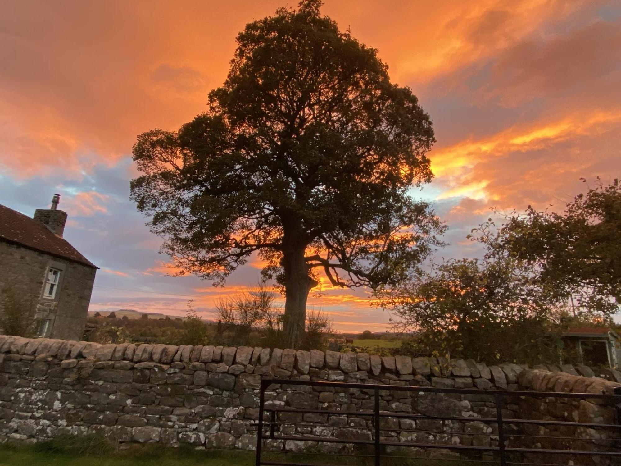 Wydon Farm Bed And Breakfast Haltwhistle Exterior foto