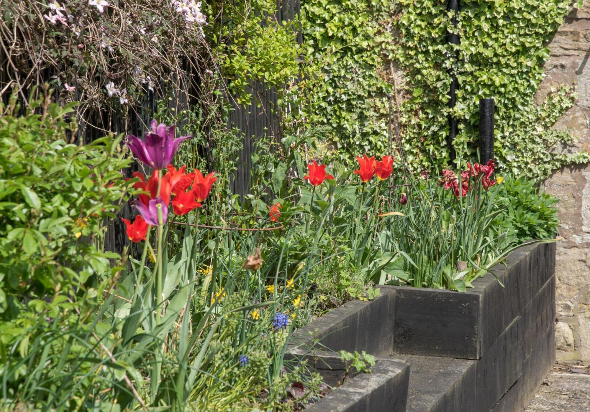 Wydon Farm Bed And Breakfast Haltwhistle Exterior foto